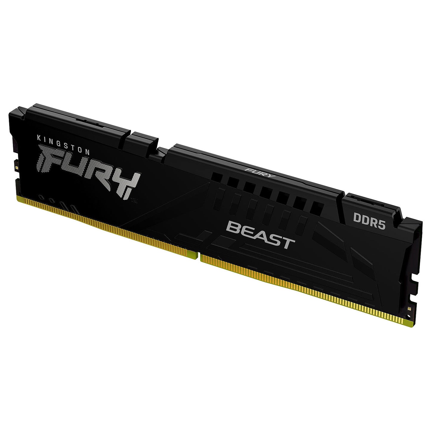 Fury Beast 16Go (1x16Go) DDR5 5200MHz