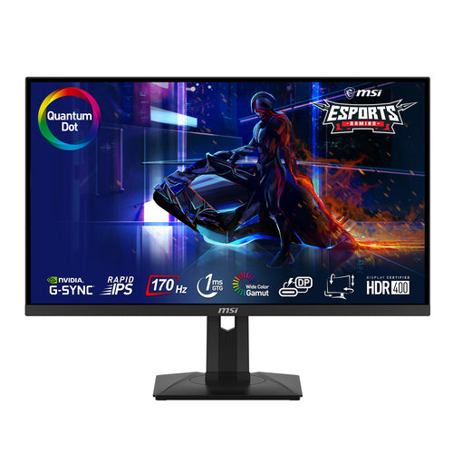 G274QPF-QD - 27" QHD 170Hz IPS Quantum Dot