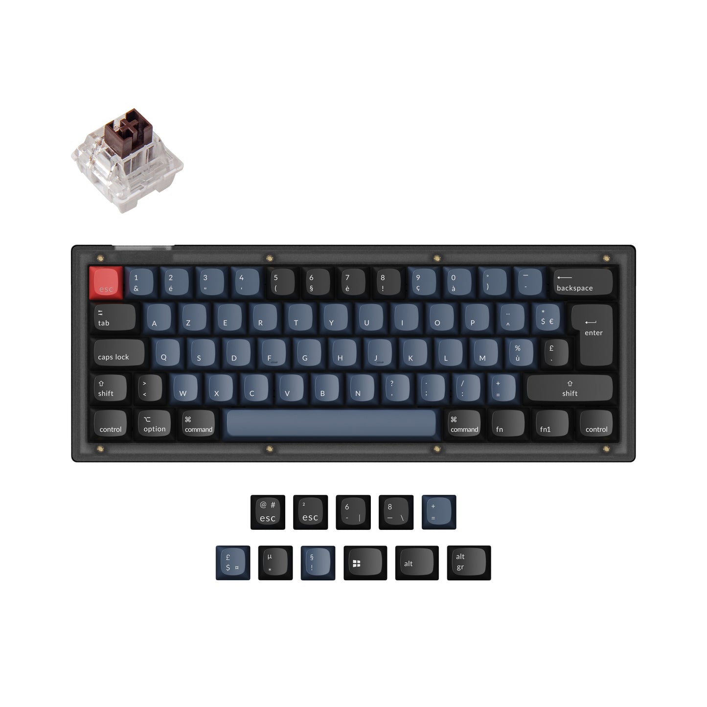 V4 GMK Knob RGB - 60% - Switch Marron